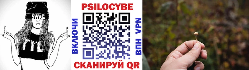 Псилоцибиновые грибы мицелий  МЕГА как войти  Нюрба 